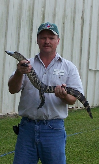 small gator