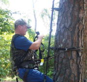 treestand safety